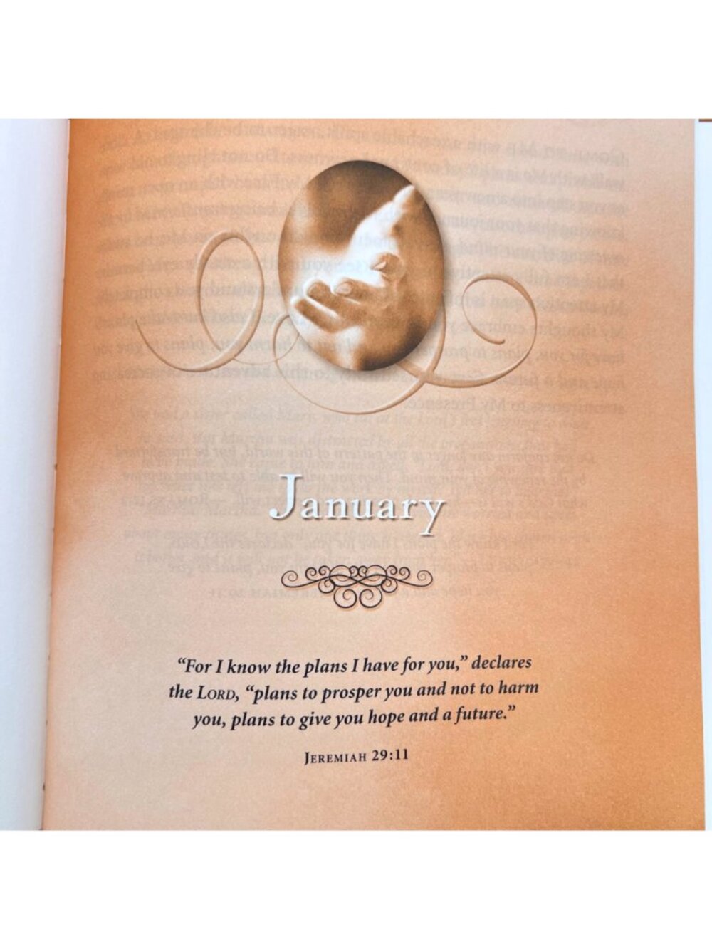 Jesus Calling Enjoying Peace 365 Daily Devotional Sarah Young Faux Leather Cover - Picture 7 of 16